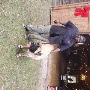 Meet your Posher, Andre